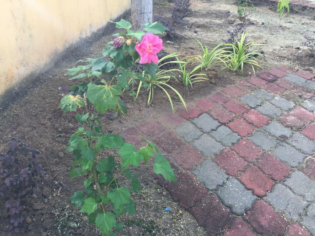 The Garden Vacation Home لومو المظهر الخارجي الصورة