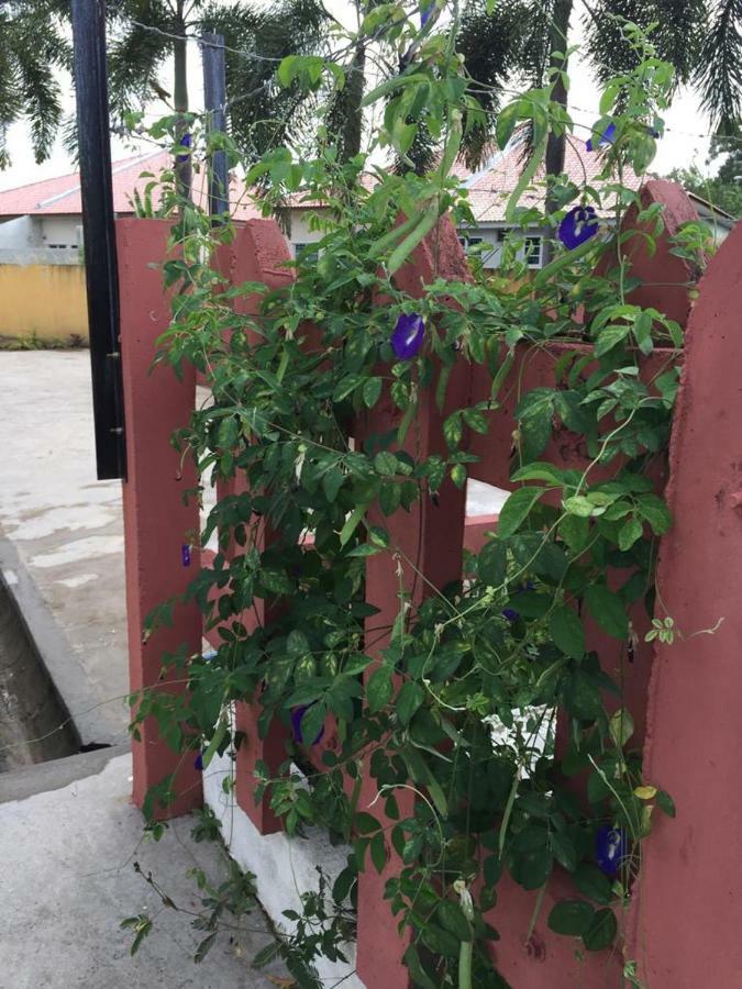 The Garden Vacation Home لومو المظهر الخارجي الصورة